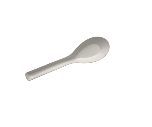 118mm CPLA Asian Soup Spoon (1000pcs)