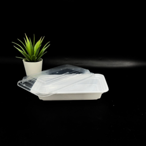 Rectangular Plastic Container