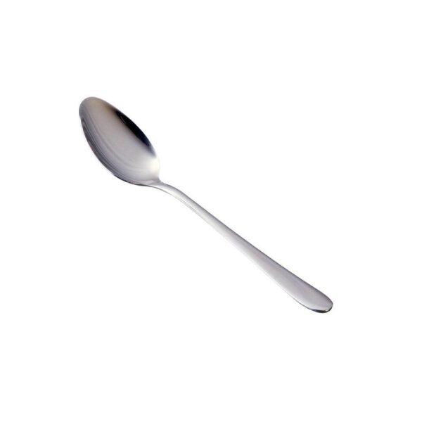 Stainless Steel Spoon (Pack of 6)