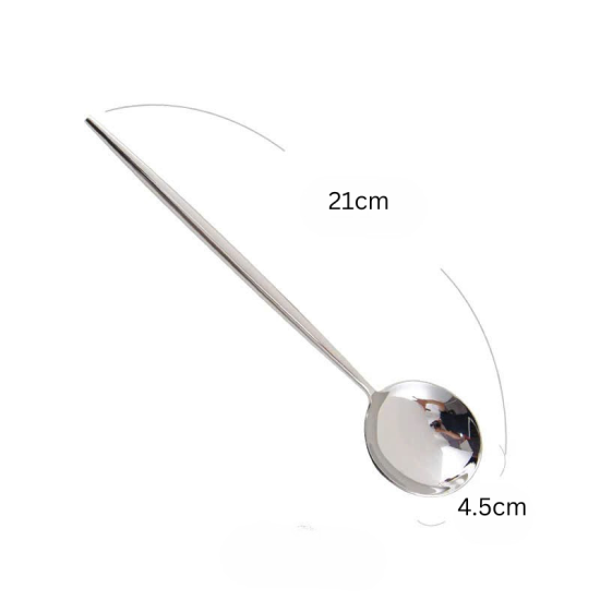 Stainless Steel Spoon