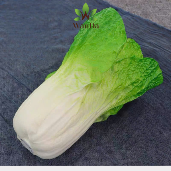 Napa Cabbage