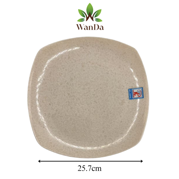 RW04-118 25.8x25.8cm (DV08)