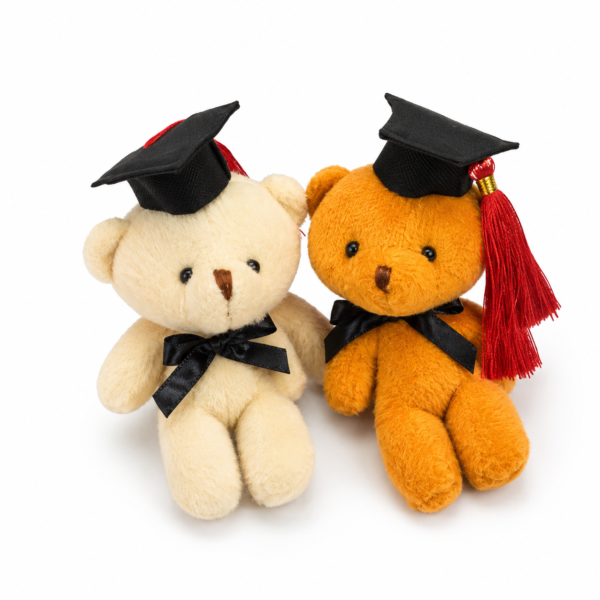 Grad Bear w Hat